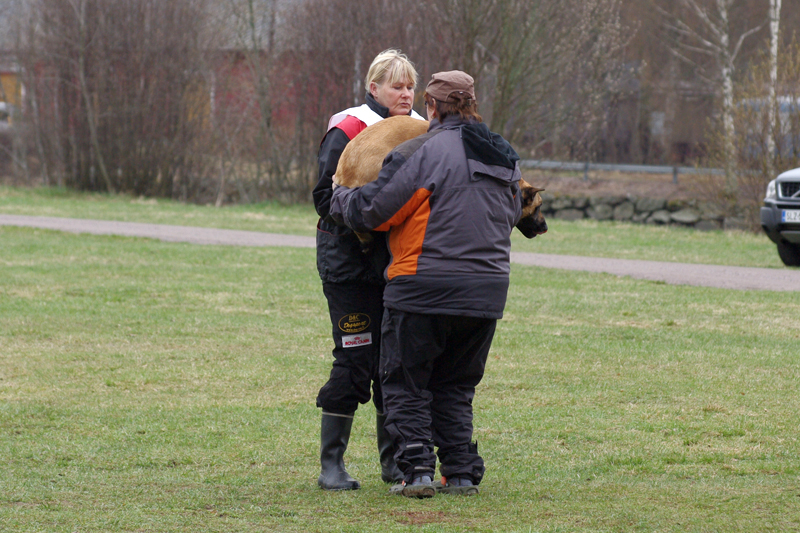 8.5.2010 216c.jpg
